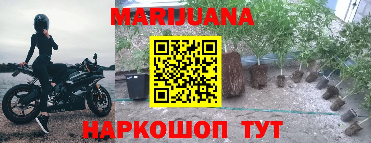 Бошки Шишки план Орехово-Зуево